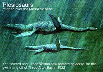 Plesiosaurs - image from Scientific American