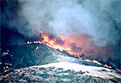 Laguna fire - 1993