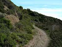 South Laguna History